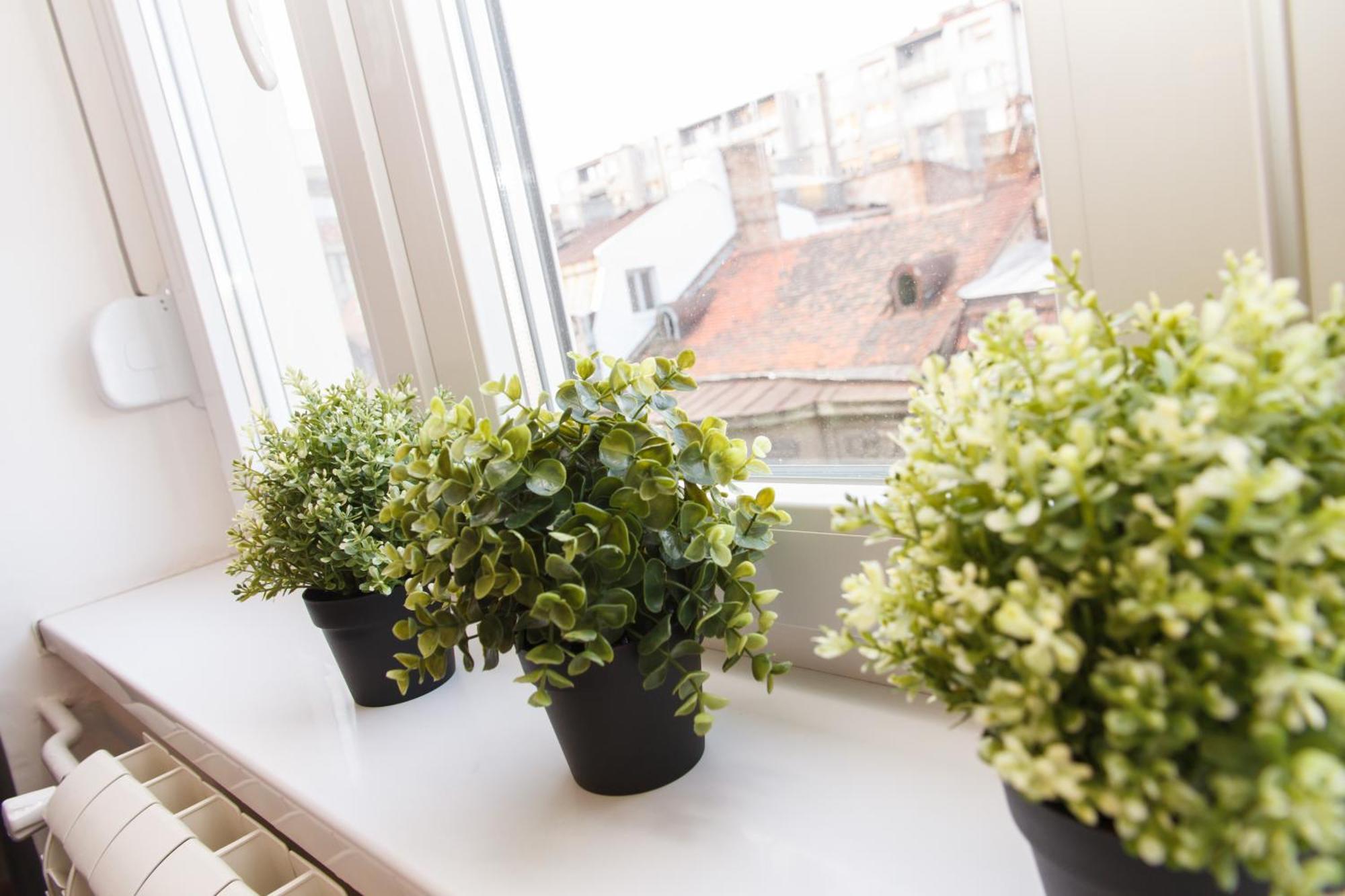 City Break Apartments - City Zen Belgrád Kültér fotó